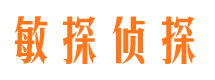 梅江市侦探公司